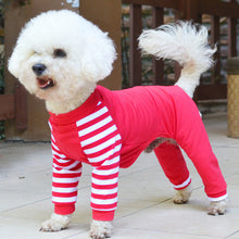 Teddy bear dog four legged clothes - Everyday Essentialsco