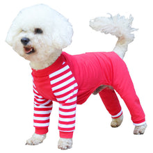 Teddy bear dog four legged clothes - Everyday Essentialsco