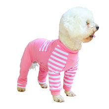 Teddy bear dog four legged clothes - Everyday Essentialsco