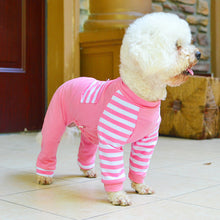 Teddy bear dog four legged clothes - Everyday Essentialsco